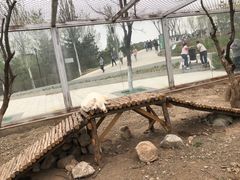 -大青山野生动物园