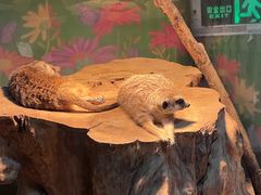 -秦皇岛新澳海底世界