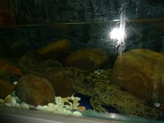 android_upload_pic-洛阳龙门海洋馆