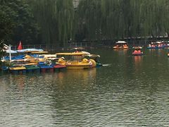 -莲湖公园