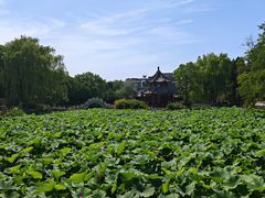 -莲池书院博物馆