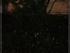 -谜·沉浸侦探剧本杀推理馆(静安店)