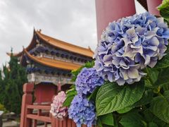 -崇圣寺三塔文化旅游区