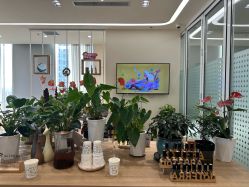 点击看大图 -dōTERRA多特瑞精油生活馆