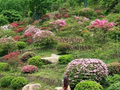 -下渚湖国家湿地公园科普馆