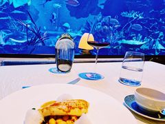-迪拜帆船酒店海底餐厅
