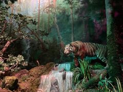 -武汉园博园(武汉自然博物馆)