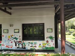 -中国扬子鳄村