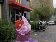 -麦当劳(欢乐谷店)