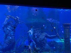 -哈尔滨波塞冬海底世界