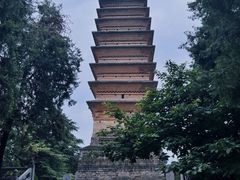 -洛阳白马寺