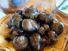 酿田螺-老根农家饭店