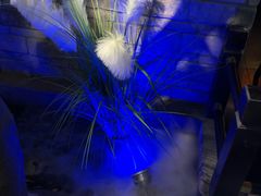 -绿茶餐厅(汇悦大融城店)