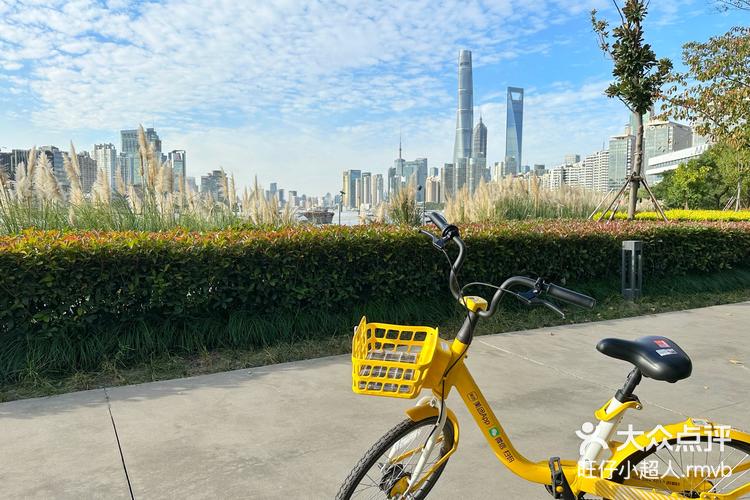 rmvb 3月7日 11:09 关注 浦东滨江骑行体验get #0元玩转这座城浦东