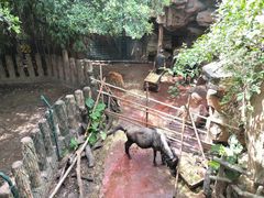 -长鹿旅游休博园