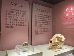-咸宁市博物馆
