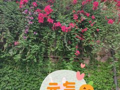 -两江国际影视城