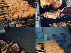 -海南东山羊(南雄店)