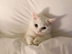 -喔爸韩国美食(慈溪银泰店)