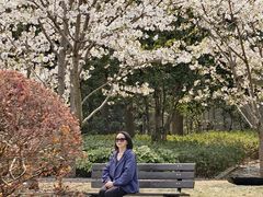 -徐家汇源景区-衡山公园