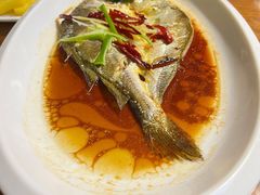 清蒸黄花鱼-青瓦餐厅·生鱼片·韩园烤肉(西塔店)