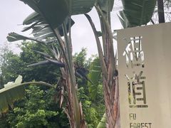 -福道