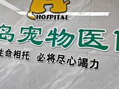 -半岛宠物医院24小时(白果林店)