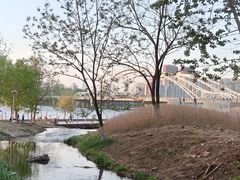 -长白岛森林公园