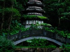 -深圳国际园林花卉博览园