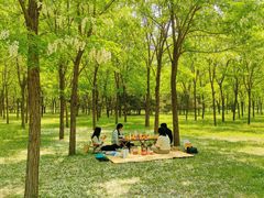 -西青郊野公园