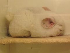 -龙猫仔乐园(惠福东路店)