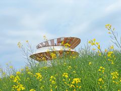 -光明小镇欢乐田园