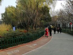 -西安市长乐公园