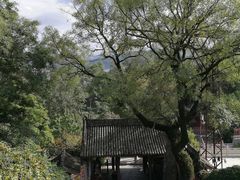 -玉泉观