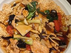 -陈麻婆豆腐(旗舰店)