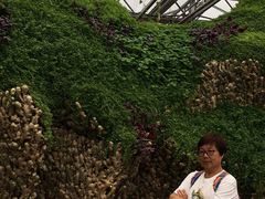 -长春农博园