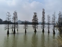 -星湖旅游景区七星岩