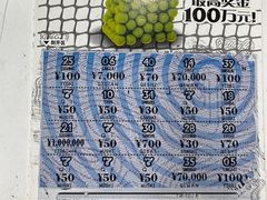 -中国体育彩票·竞彩店(蓝村路地铁站店)