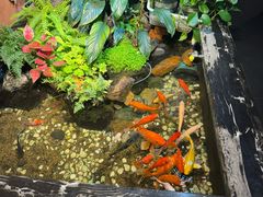 -隐炉和牛烧肉店(群力店)