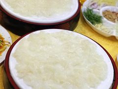 -鸽王世家(东华东路店)