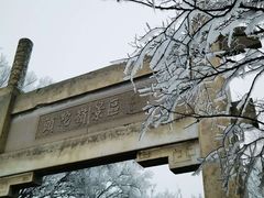 -紫金山山顶公园