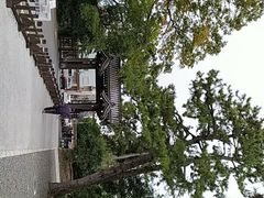 -京都御所