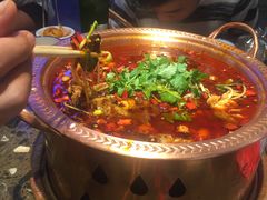 -沪小二炭火蛙锅(淮海中路美食不夜城店)