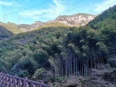 -长谷洞天