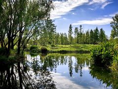 -溱湖国家湿地公园