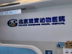 -北京观赏动物医院·24小时大型综合·猫专科·异宠专科