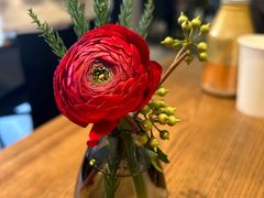 -gaga(深圳南山益田假日广场店)