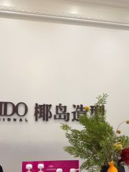 -YESIDO椰岛造型