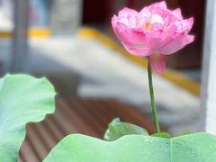 -永兴坊
