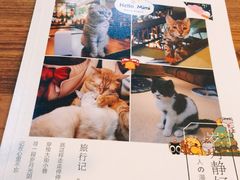 -李小姐の猫咖啡馆(五角场店)
